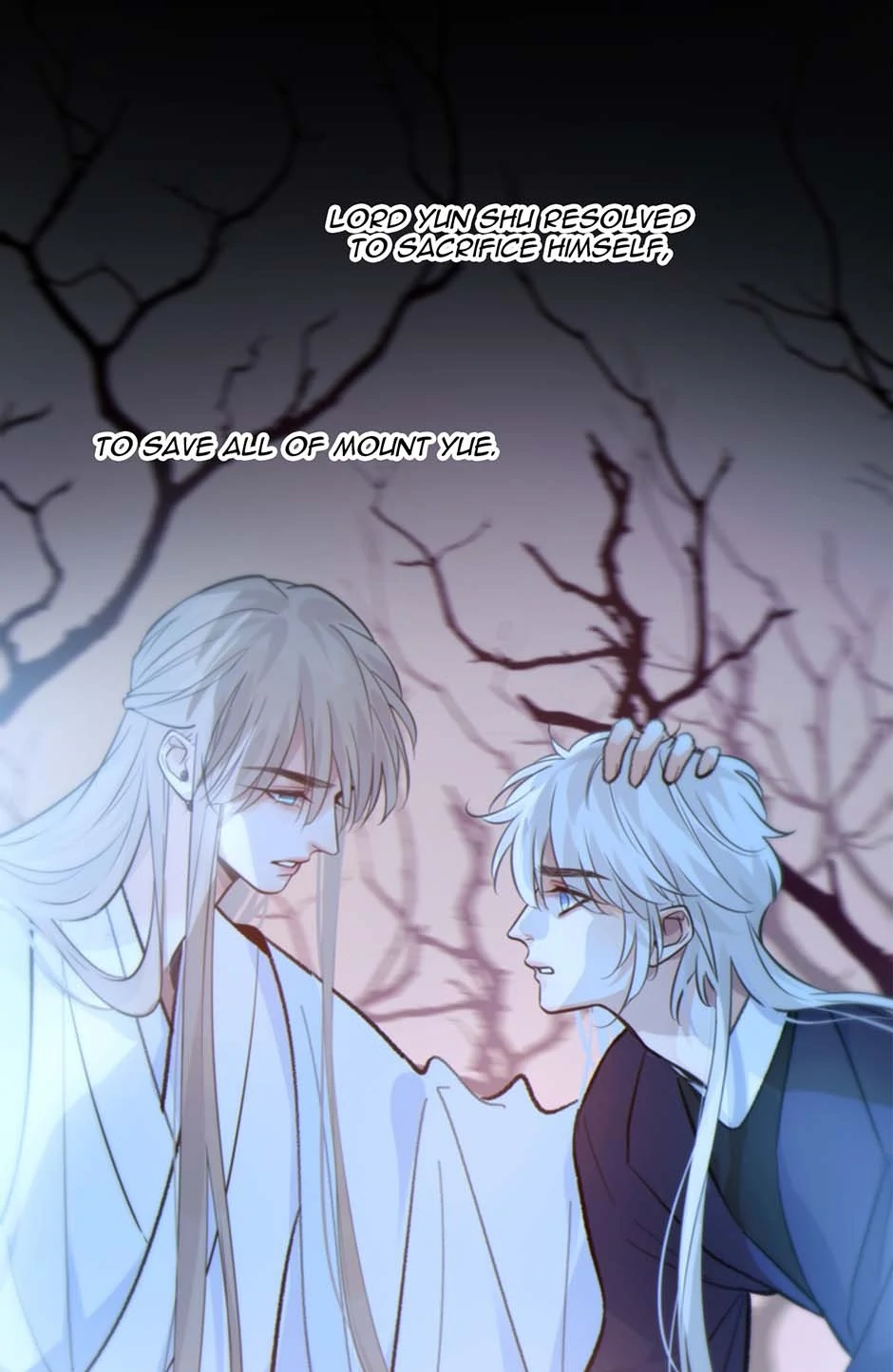 88478591 940 1444 109148